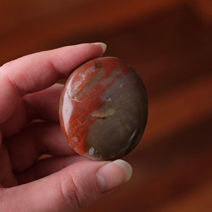 Red Petrified Wood Palm | Fossilized Wood Crystal Palmstone