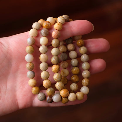 Fossilised Coral Bracelet | Coral Crystal Stretch Bracelet