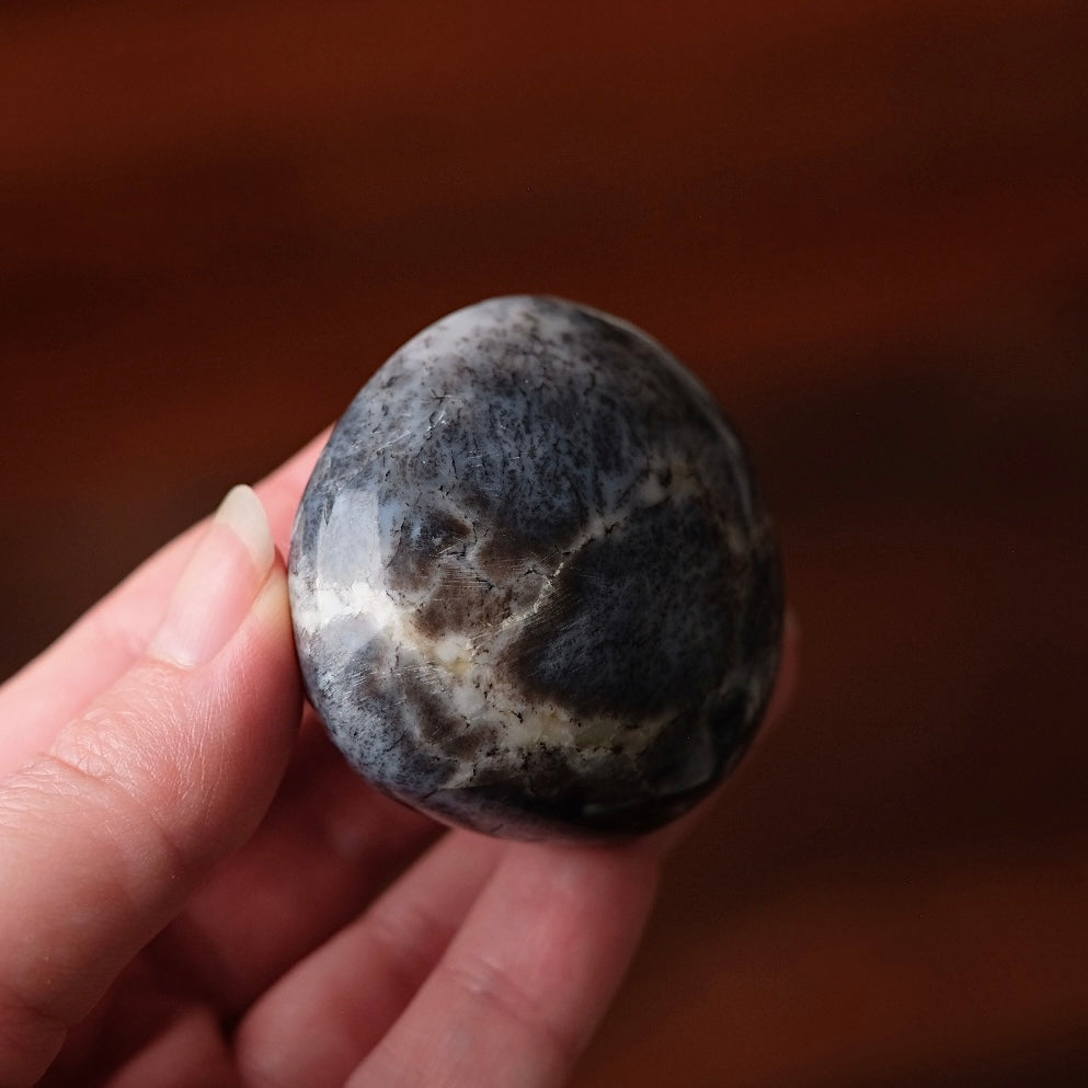 Merlinite Palm Stone | Dendritic Opal Palmstone