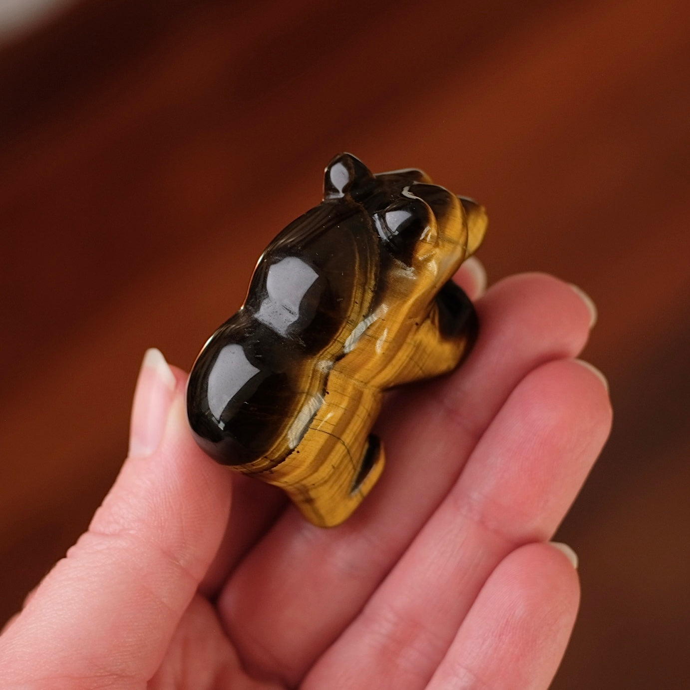 Tiger Eye Bear Carving | Crystal Animal Carving
