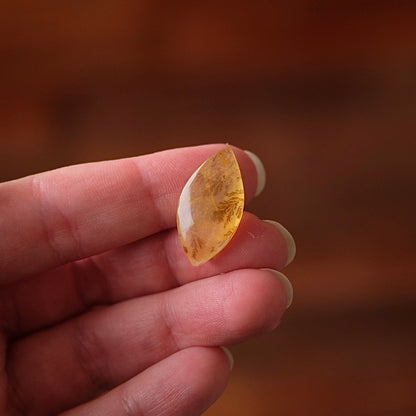 Dendritic Golden Healer Quartz | Crystal Cab