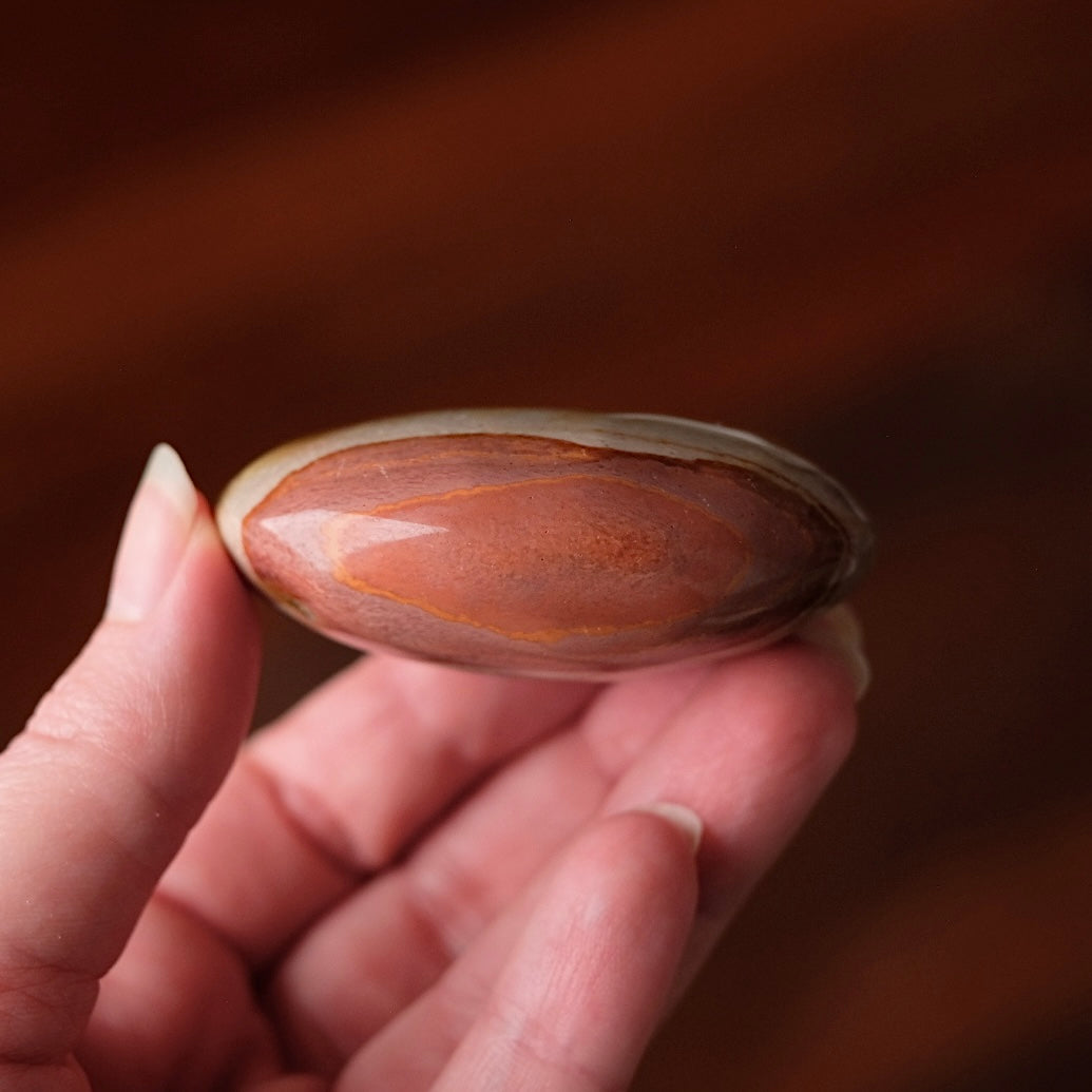 Polychrome Jasper Palm | Jasper Crystal Palmstone
