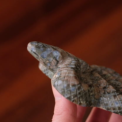 Que Sera Snake Carving | Llanite Crystal Snake