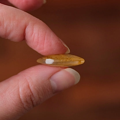 Dendritic Golden Healer Quartz | Crystal Cab