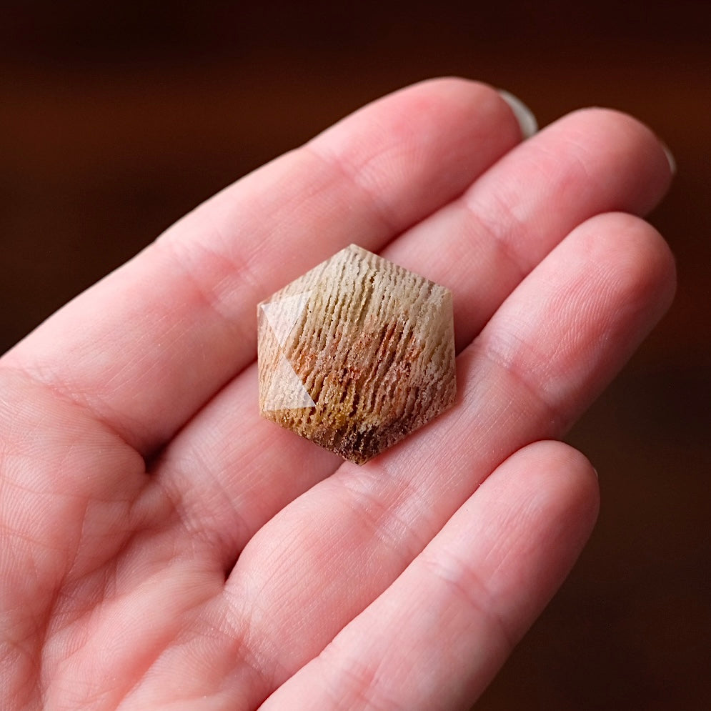 Thousand Layer Quartz Hexagon | Crystal Jewel | Star of David