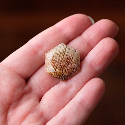 Thousand Layer Quartz Hexagon | Crystal Jewel | Star of David