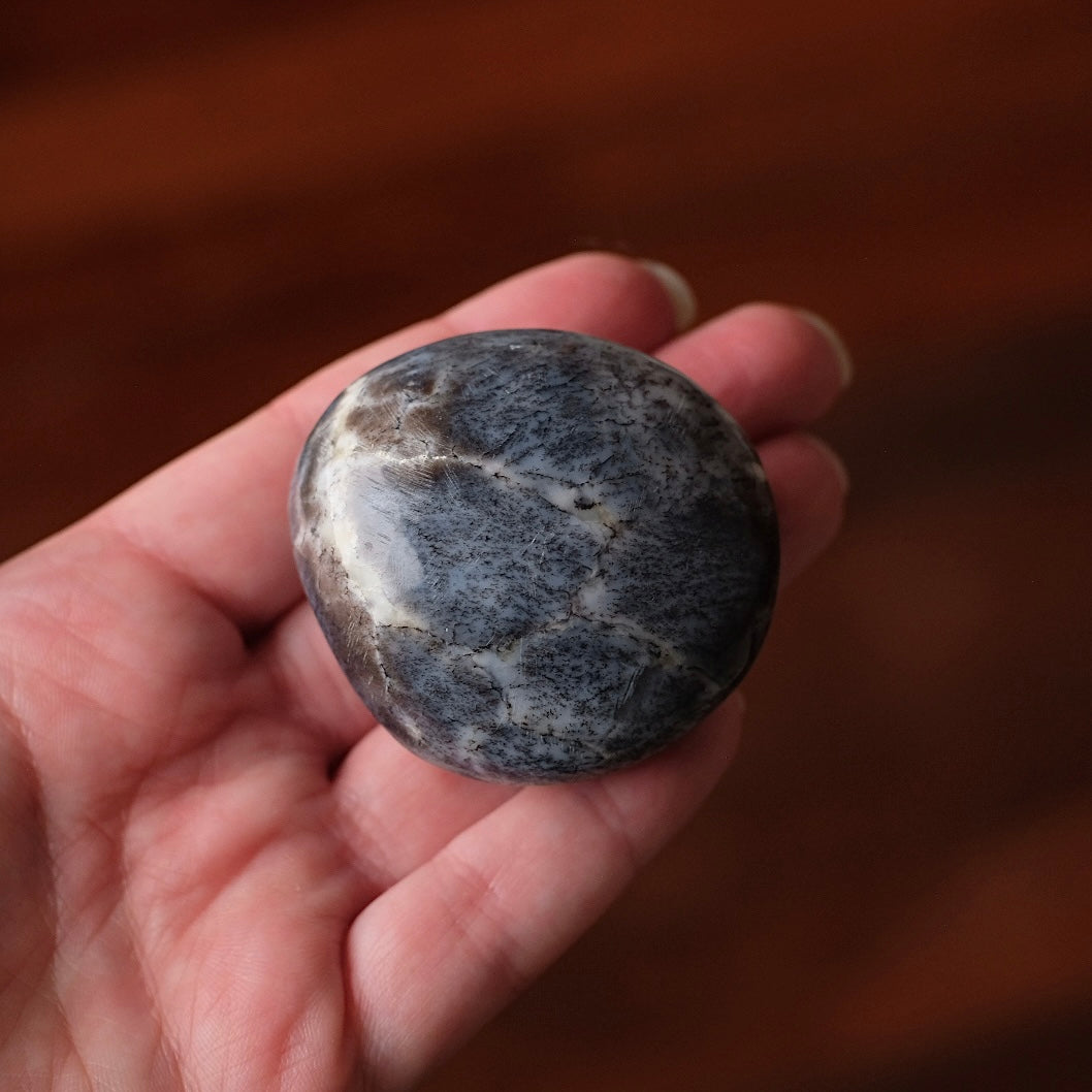 Merlinite Palm Stone | Dendritic Opal Palmstone