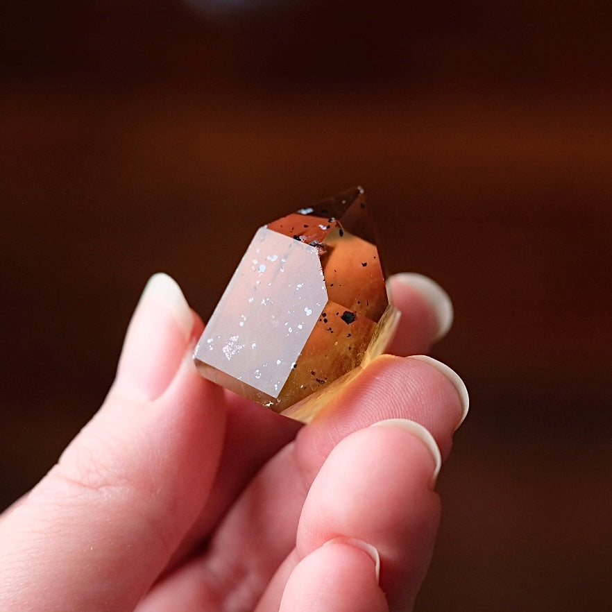Rare Harlequin Citrine Point | Natural Cognac Citrine Crystal Tower