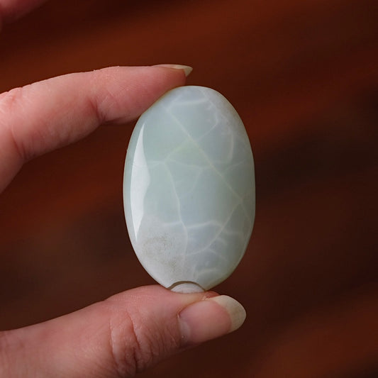 Rare Blue Flower Agate Palm | Green Flower Agate Palm