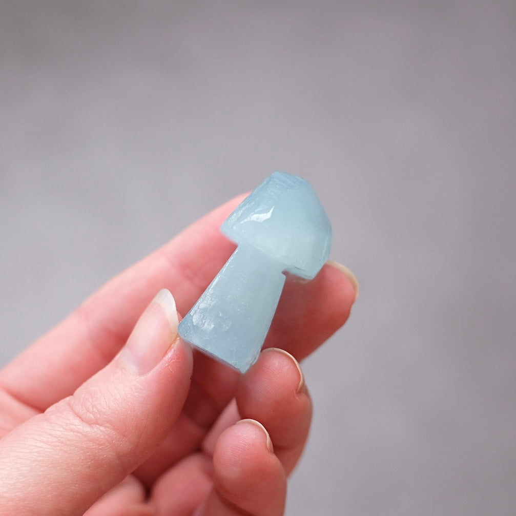 Aquamarine Mushroom | Crystal Mushroom Carving