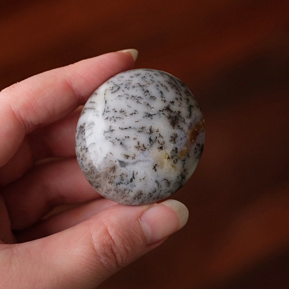 Merlinite Palm Stone | Dendritic Opal Palmstone