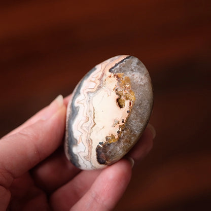 Crazy Lace Agate Palm | Mexican Crazy Lace Crystal Palm