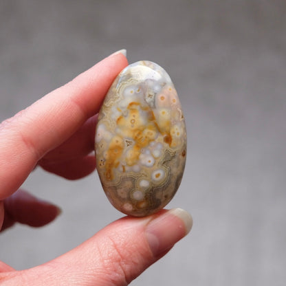 Ocean Jasper Palm | OJ Crystal Pocket Stone