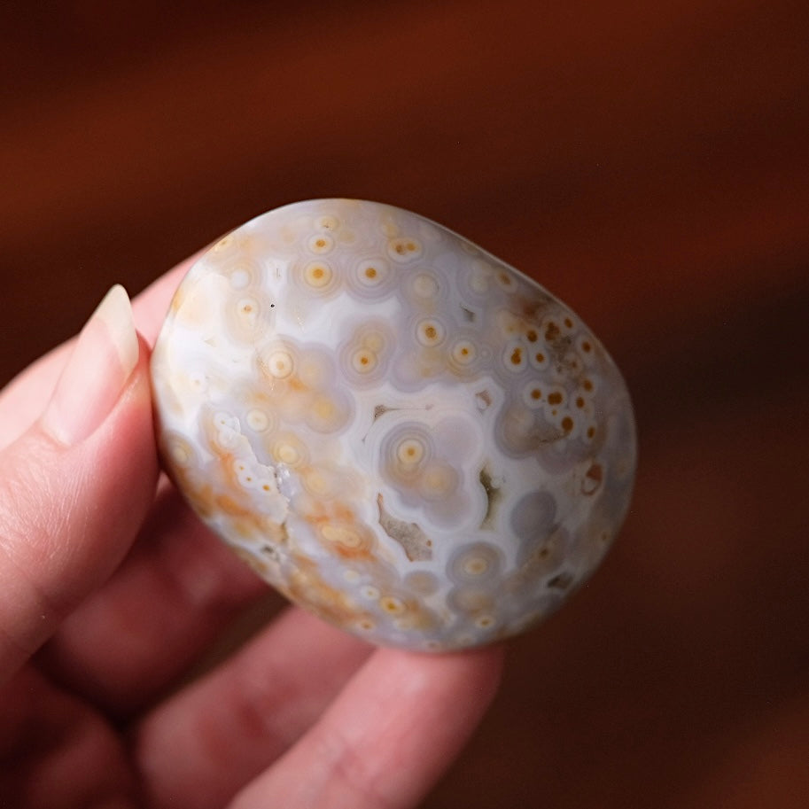 Old Stock Ocean Jasper Palm | Orbicular OJ Crystal Palmstone