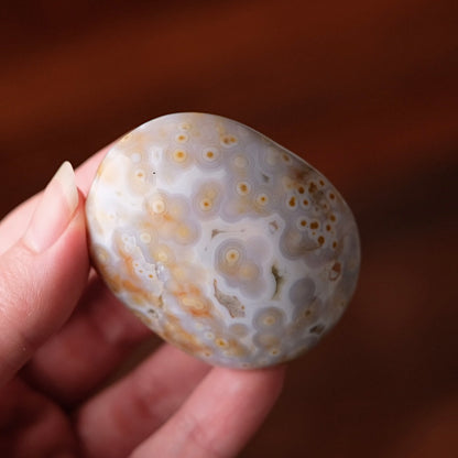 Old Stock Ocean Jasper Palm | Orbicular OJ Crystal Palmstone