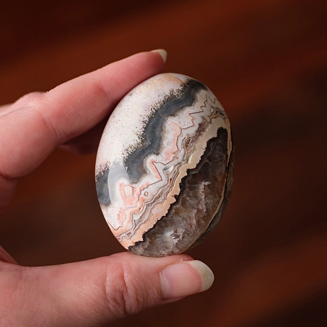 Crazy Lace Agate Palm | Mexican Crazy Lace Crystal Palm