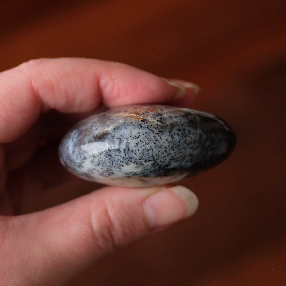 Merlinite Palm Stone | Dendritic Opal Palmstone