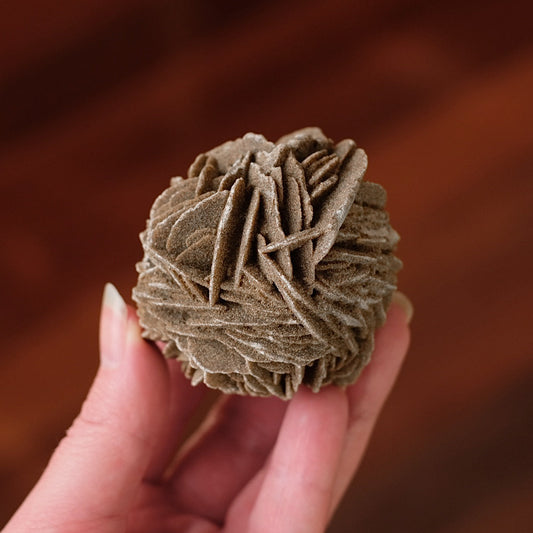 Desert Rose Selenite Specimen | Gypsum Raw Crystal