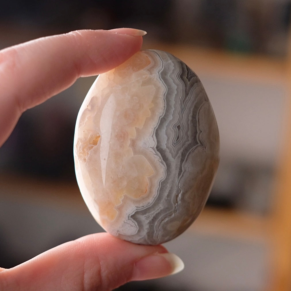 Crazy Lace Agate Palm | Mexican Crazy Lace Crystal Palm