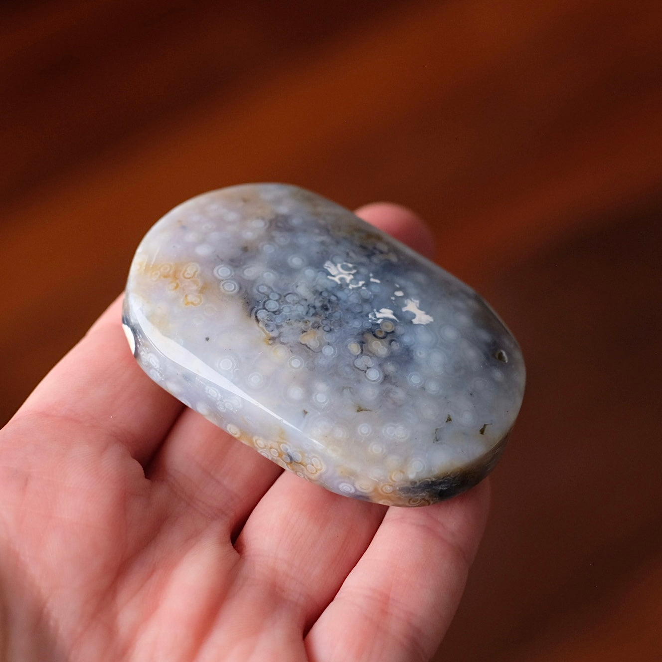 Ocean Jasper Palm | Blue Ocean Jasper Crystal Palmstone