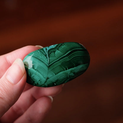 Malachite Palm | Malachite Chrysocolla Crystal Palm