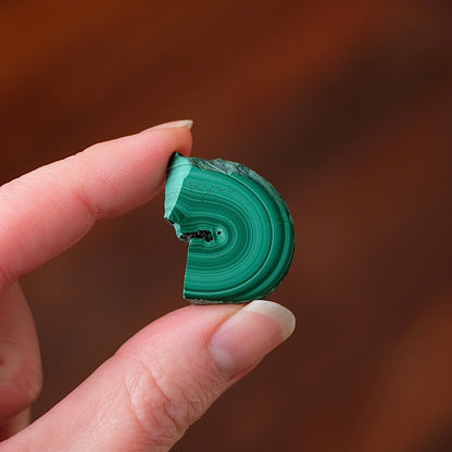 Malachite Slice | Polished Malachite Crystal Slab