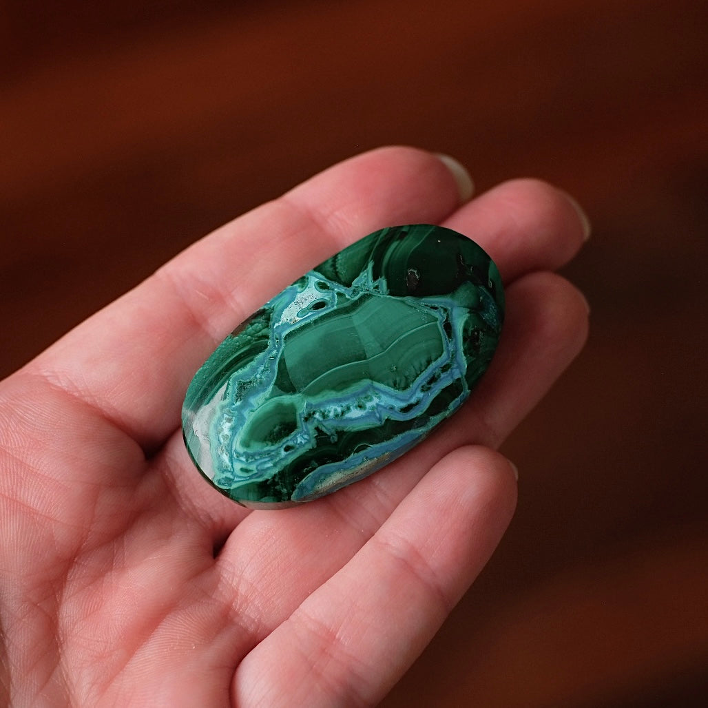 Malachite Palm | Malachite Chrysocolla Crystal Palm