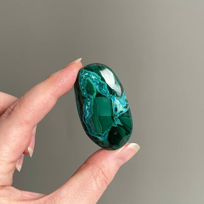 Malachite Palm | Malachite Chrysocolla Crystal Palm