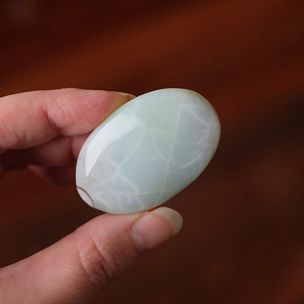 Rare Blue Flower Agate Palm | Green Flower Agate Palm