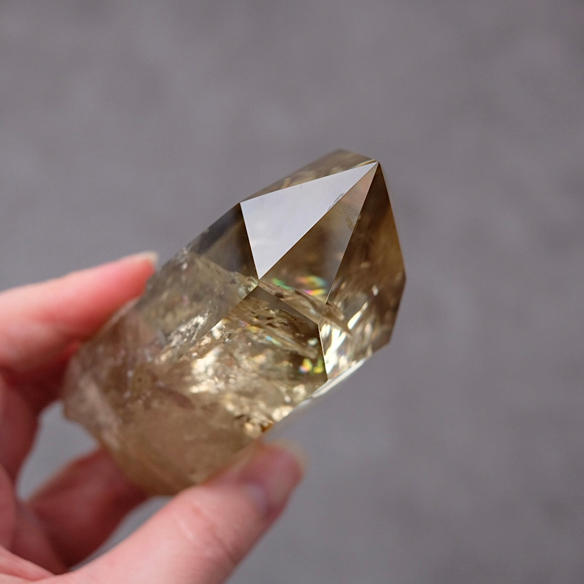 Phantom Smokey Citrine Point + Stand | Rainbow Citrine Crystal Point