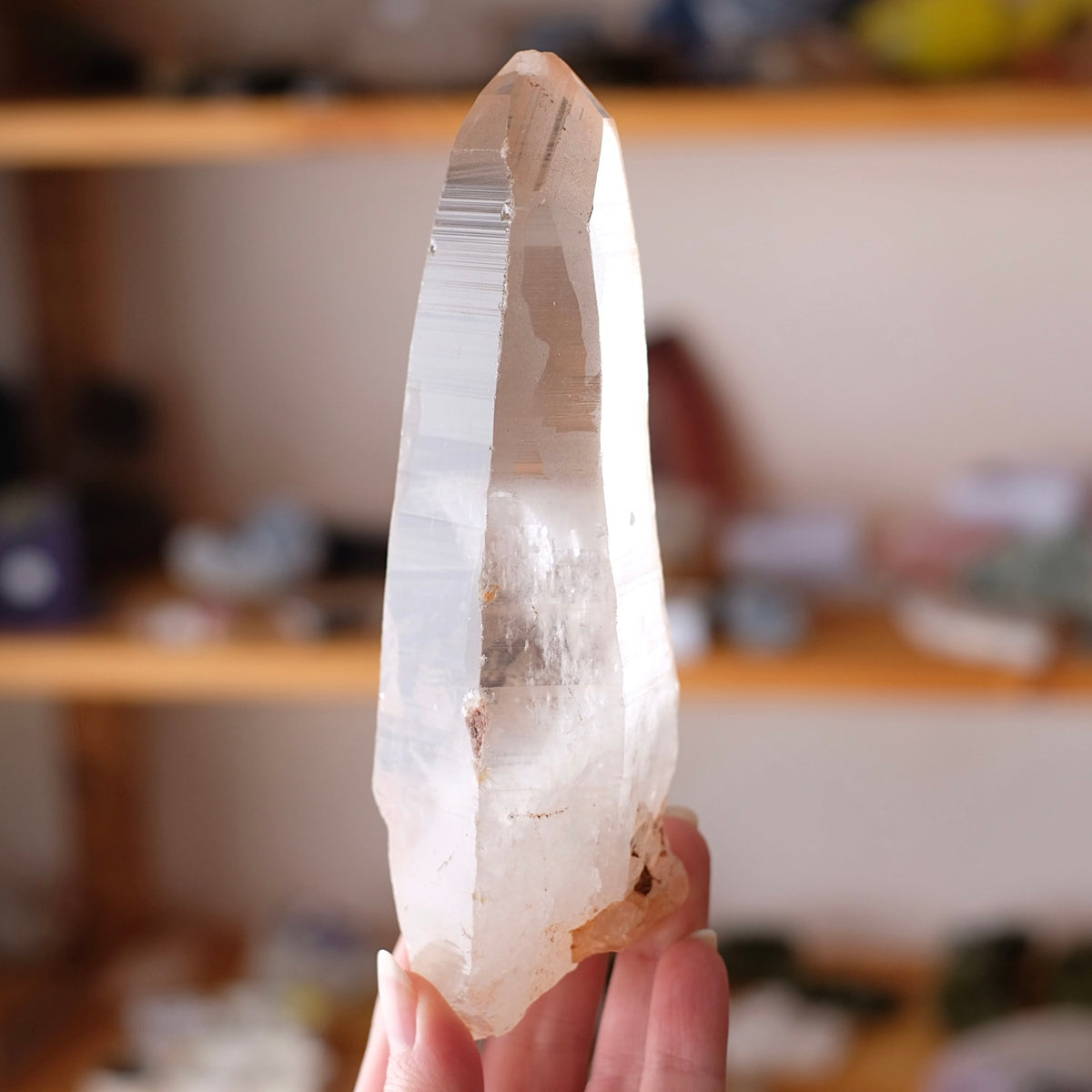 XL Scarlet Temple Lemurian Quartz Point | Pink Lemurian Seed Crystal