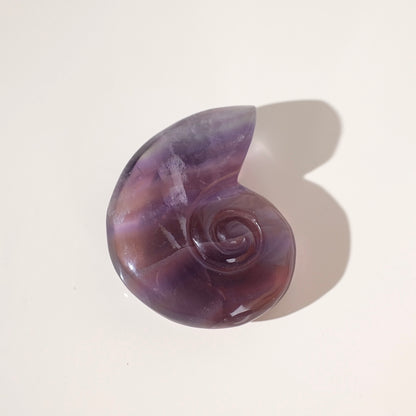 Yttrium Fluorite Ammonite Carving | Pink Fluorite Crystal Shell