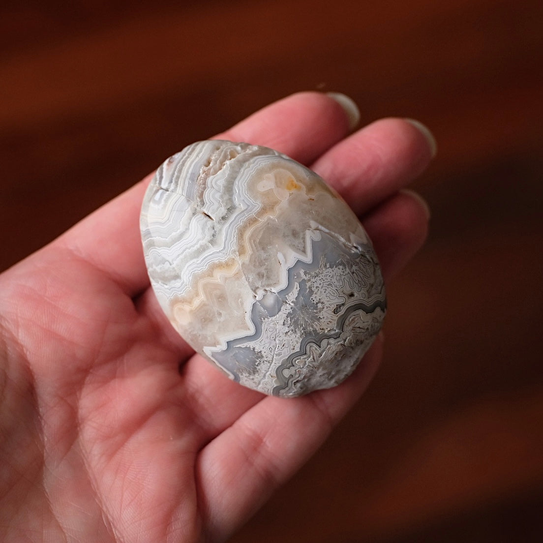 Crazy Lace Agate Palm | Mexican Crazy Lace Crystal Palm