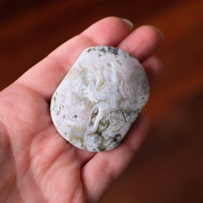 Ocean Jasper Palm | Sea Jasper Crystal Palmstone