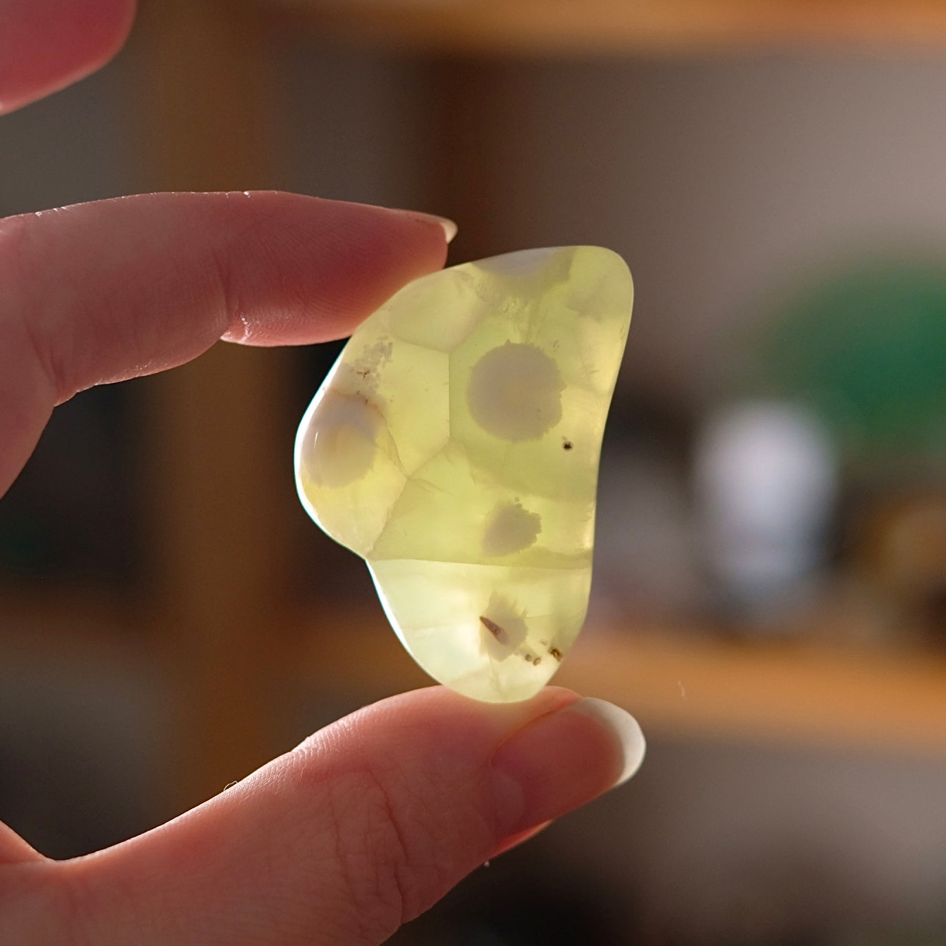 Australian Prehnite Freeform | Polished Prehnite Crystal