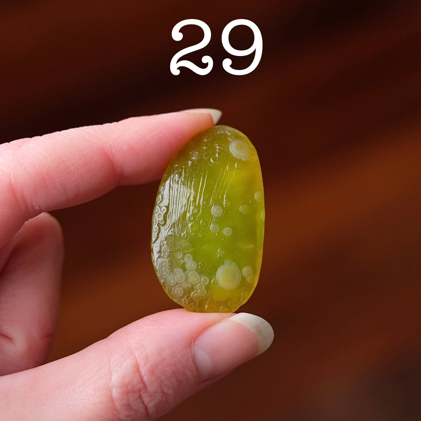You Choose! Gobi Agate | Gobi Desert Agates
