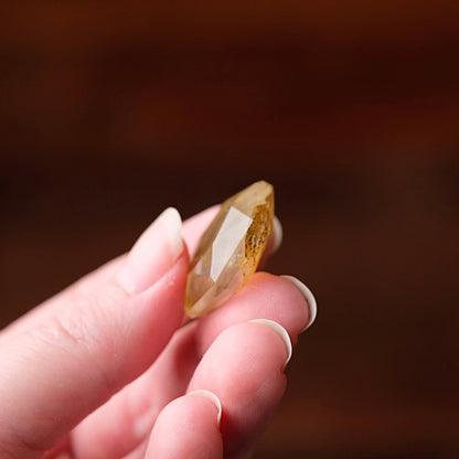 Dendritic Quartz Hexagon | Golden Healer Crystal Jewel | Star of David