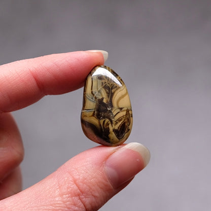 Schalenblende Tumble | Rare Tumbled Crystal | Pocket Stone