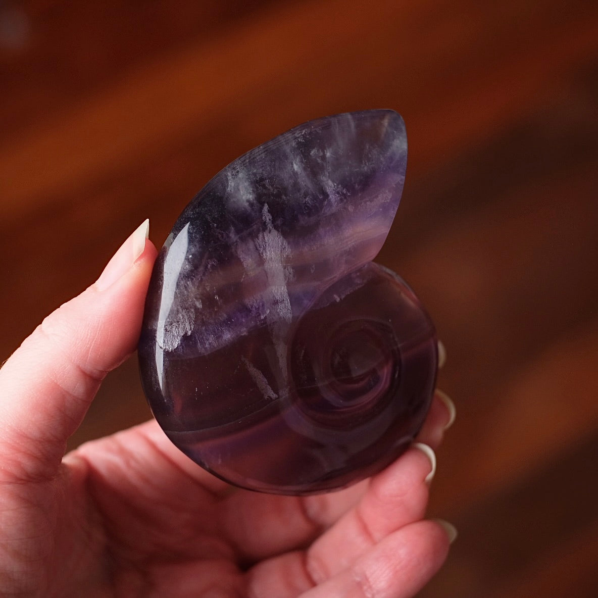 Yttrium Fluorite Ammonite Carving | Pink Fluorite Crystal Shell