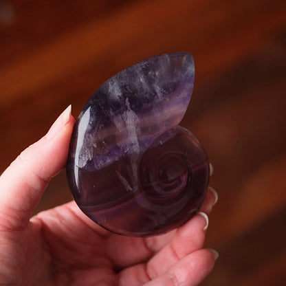 Yttrium Fluorite Ammonite Carving | Pink Fluorite Crystal Shell