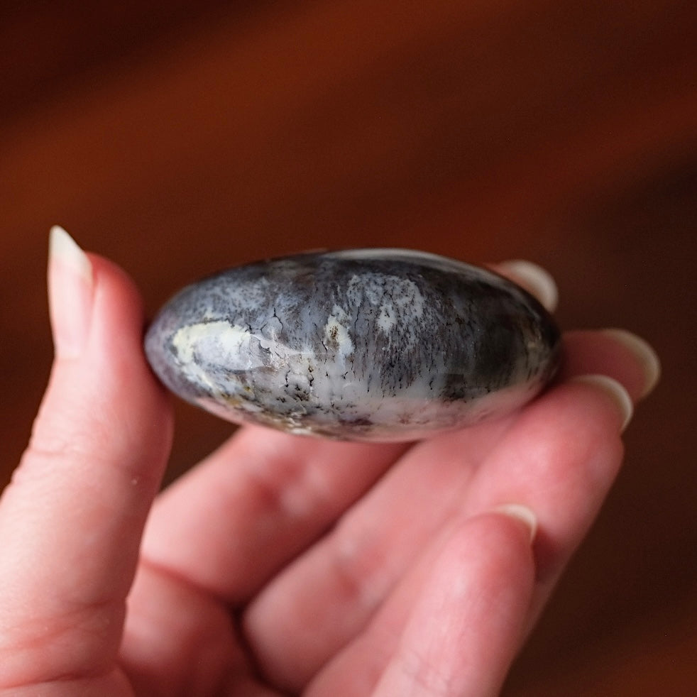 Merlinite Palm Stone | Dendritic Opal Palmstone