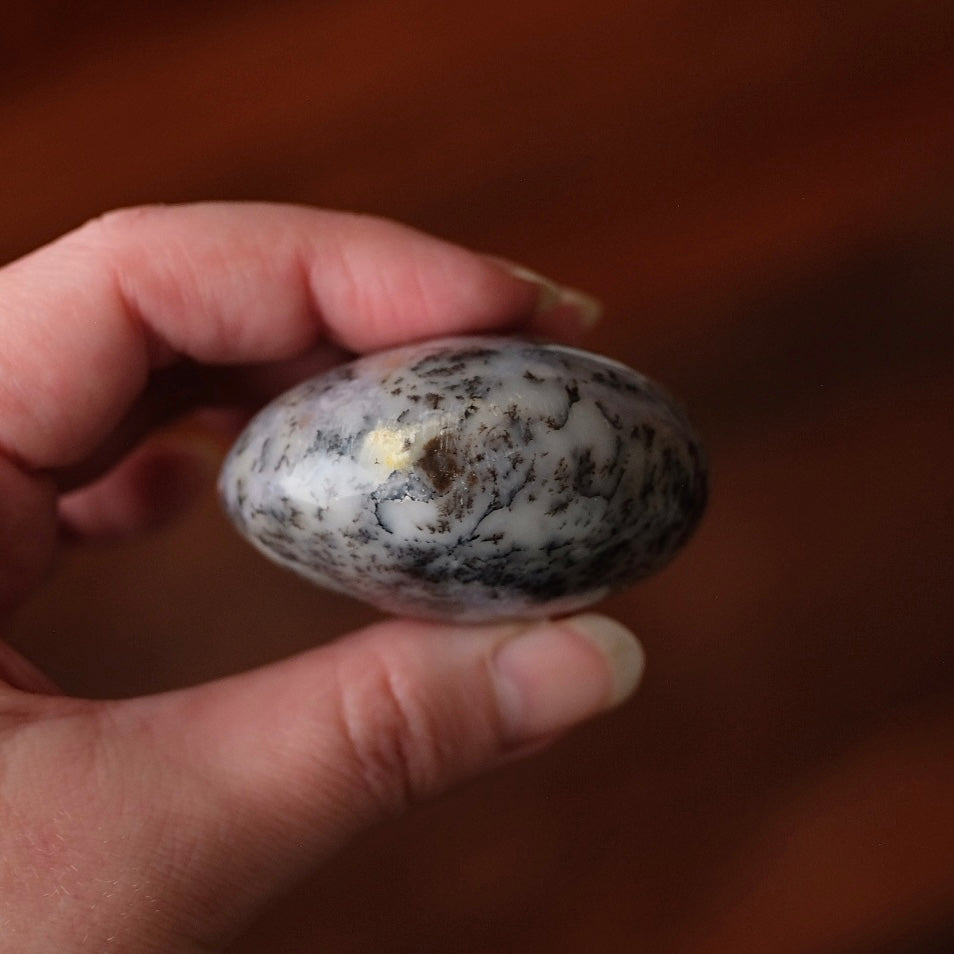 Merlinite Palm Stone | Dendritic Opal Palmstone