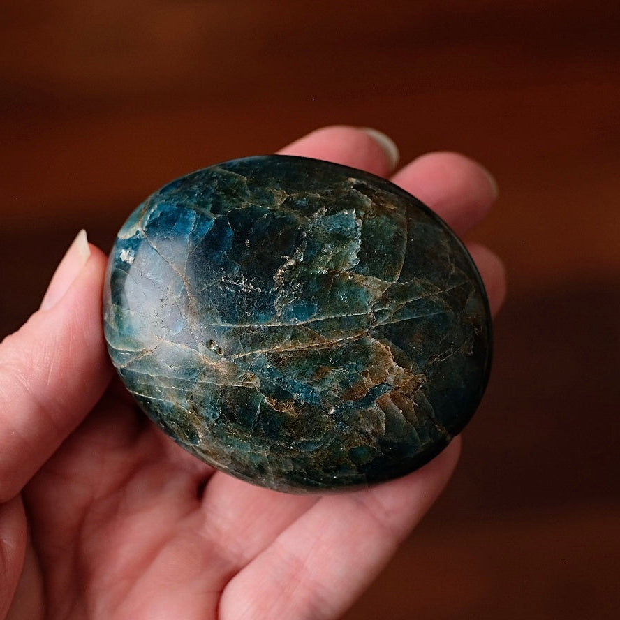 XL Apatite Palm | Dark Teal Blue Apatite Crystal Palmstone