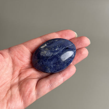 Sodalite Palm | Blue Sodalite Crystal Palm Stone