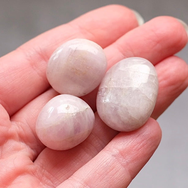 Set of 3 Kunzite Tumbles | Kunzite Tumbled Crystal