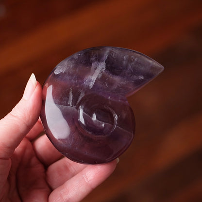 Yttrium Fluorite Ammonite Carving | Pink Fluorite Crystal Shell