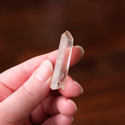 Starbrary Quartz Point | Quartz Crystal Specimen