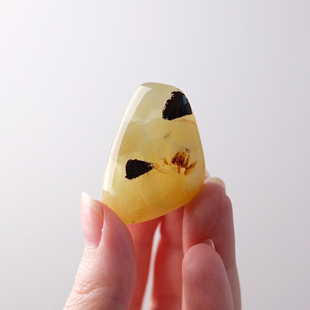 Australian Prehnite Pocket Stone | Yellow Prehnite Tumbled Crystal