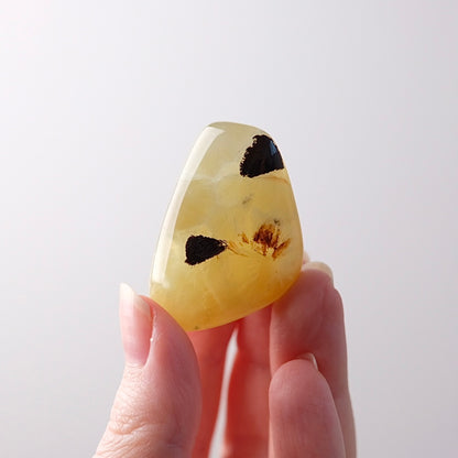 Australian Prehnite Pocket Stone | Yellow Prehnite Tumbled Crystal