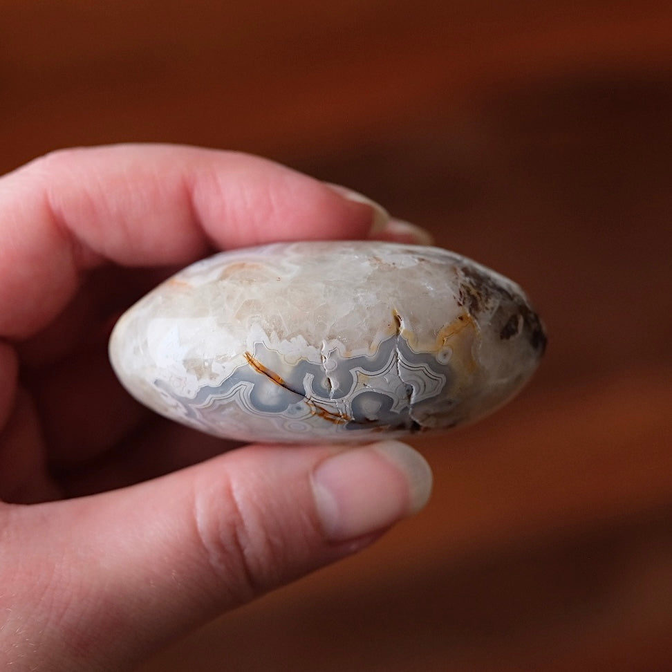 Grey Crazy Lace Agate Palm | Mexican Crazy Lace Crystal Palm